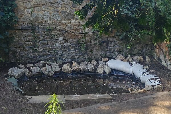 New pond in Brenchley Gardens