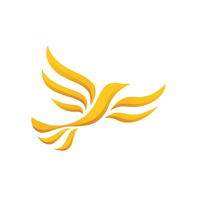 Lib Dem Logo (placeholder)