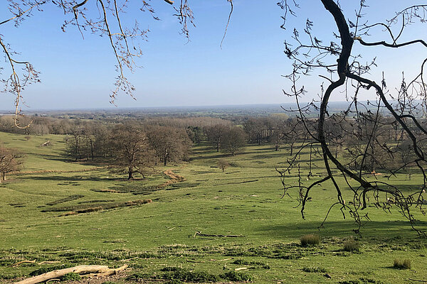 a rural space in Maidstone